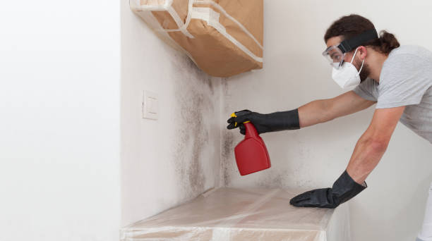 Professional Black Mold Removal technician working in Lawrence, NY